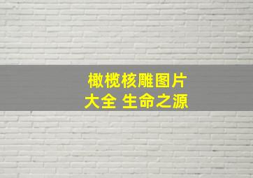 橄榄核雕图片大全 生命之源